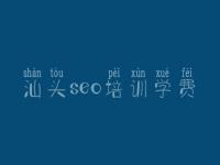 網(wǎng)站建設效果與SEO策略 以重慶與汕頭實踐為例